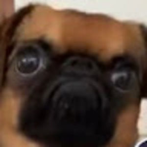 Meet your Posher, Noah